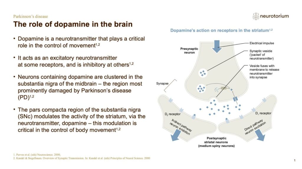 The role of dopamine in the brain